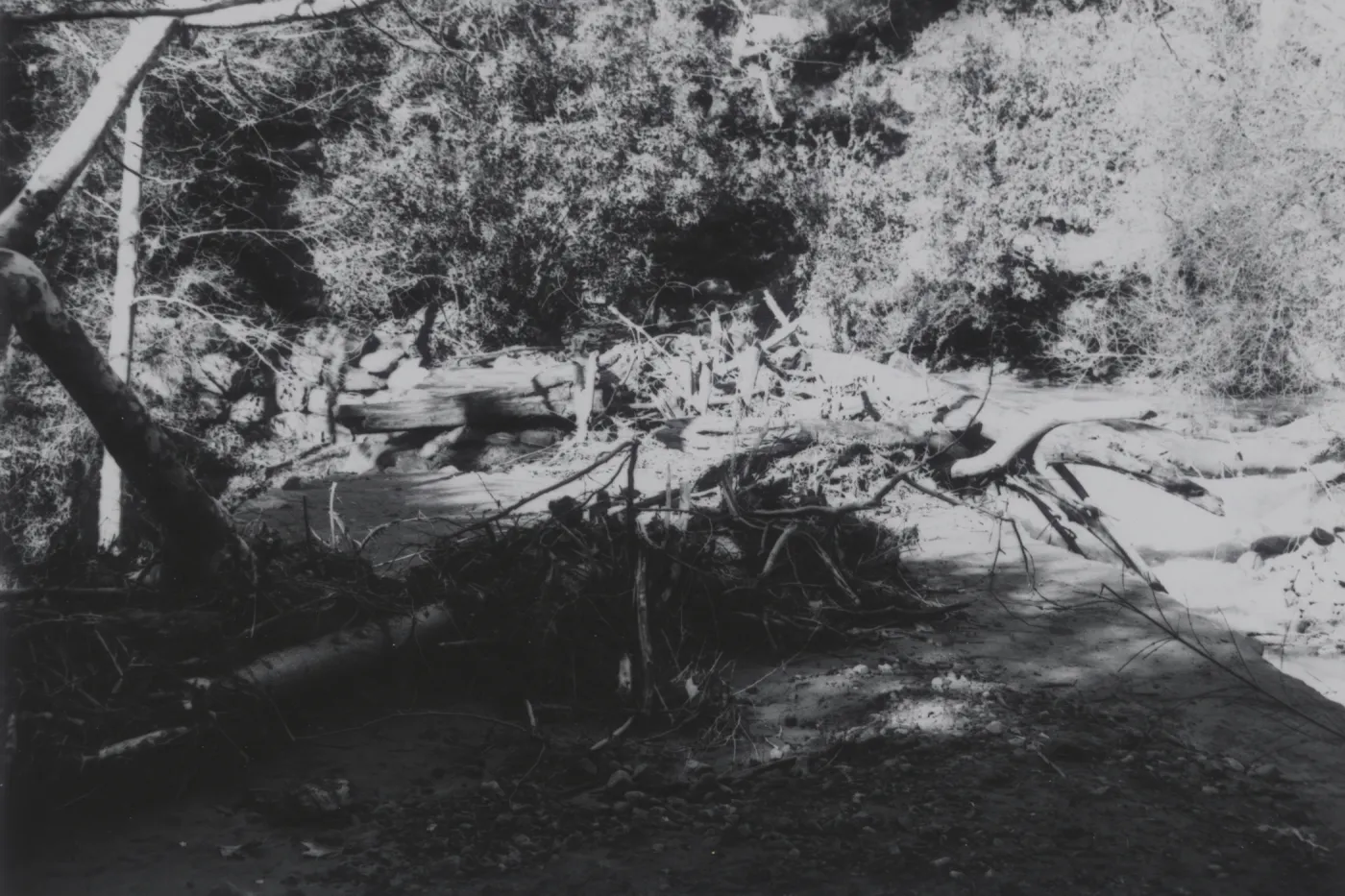flood debris collected on Mission Dam, 1969