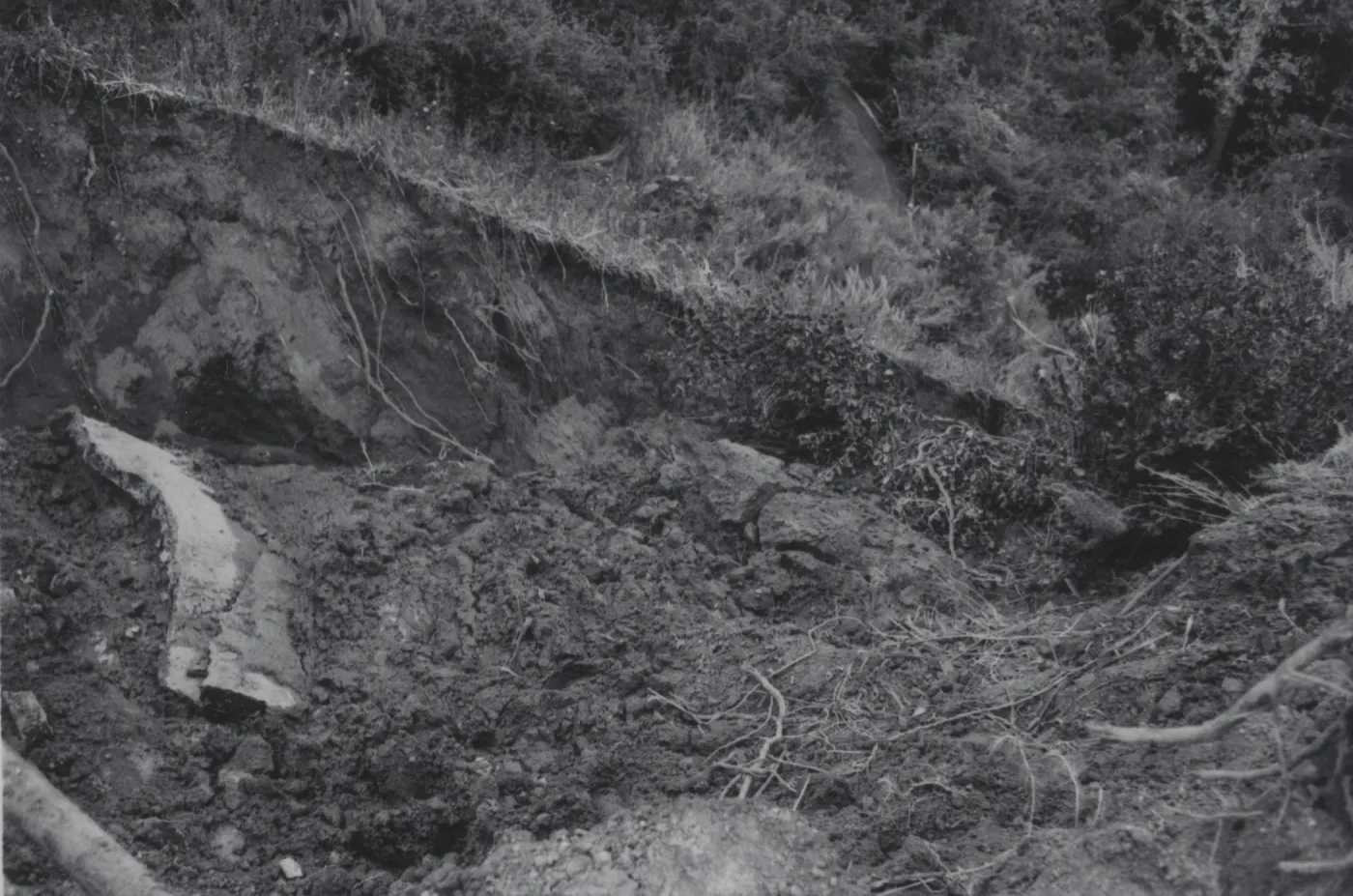 Mudslide below Tunnel Road, 1969