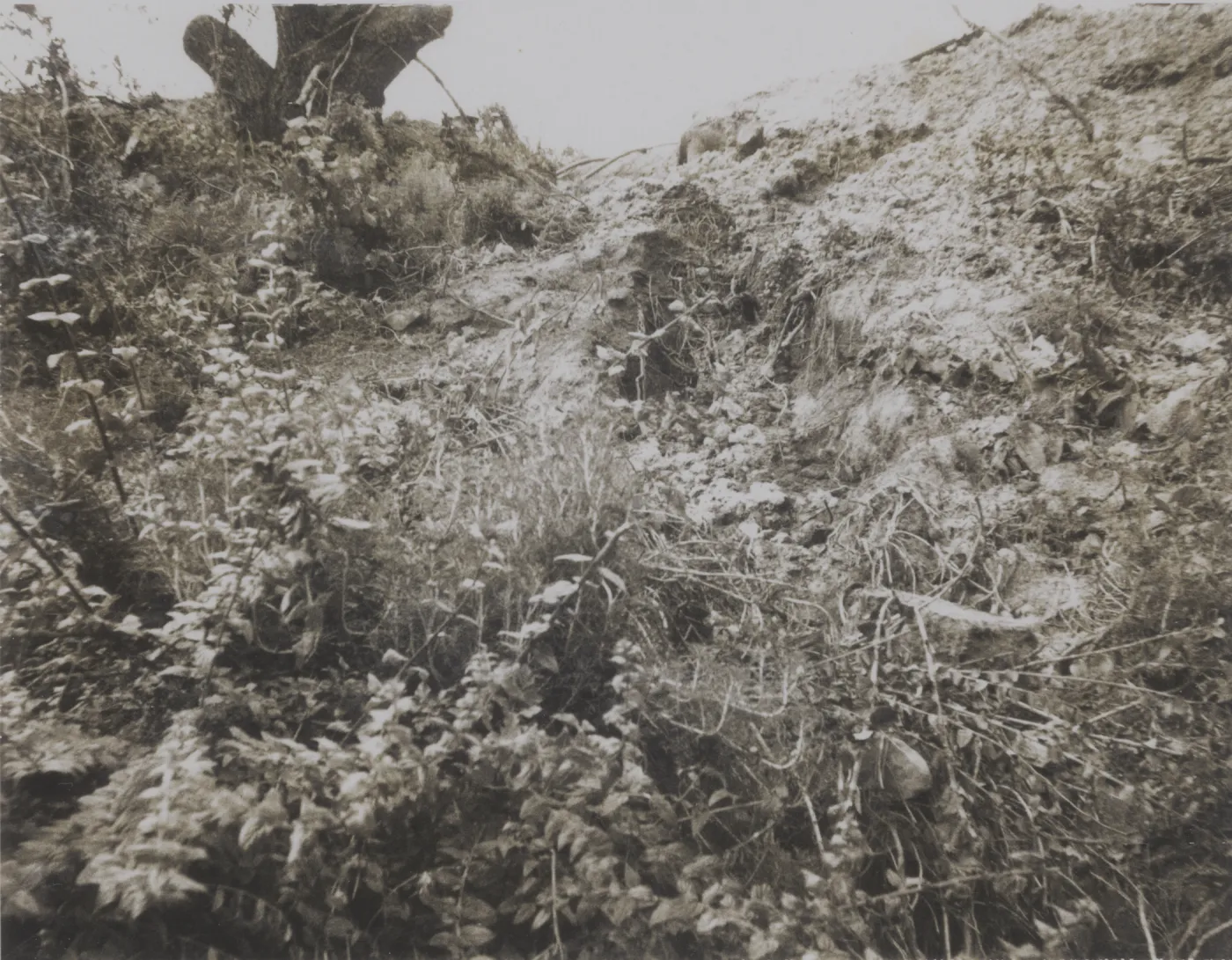 Mudslide along Tunnel Road, 1969