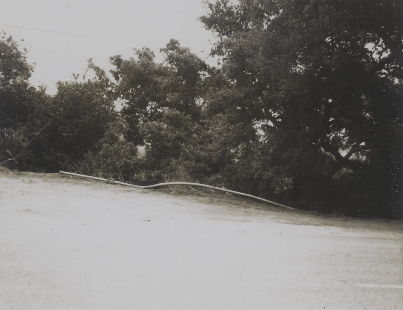 Tunnel Road, Mission Canyon above SBBG, 1969