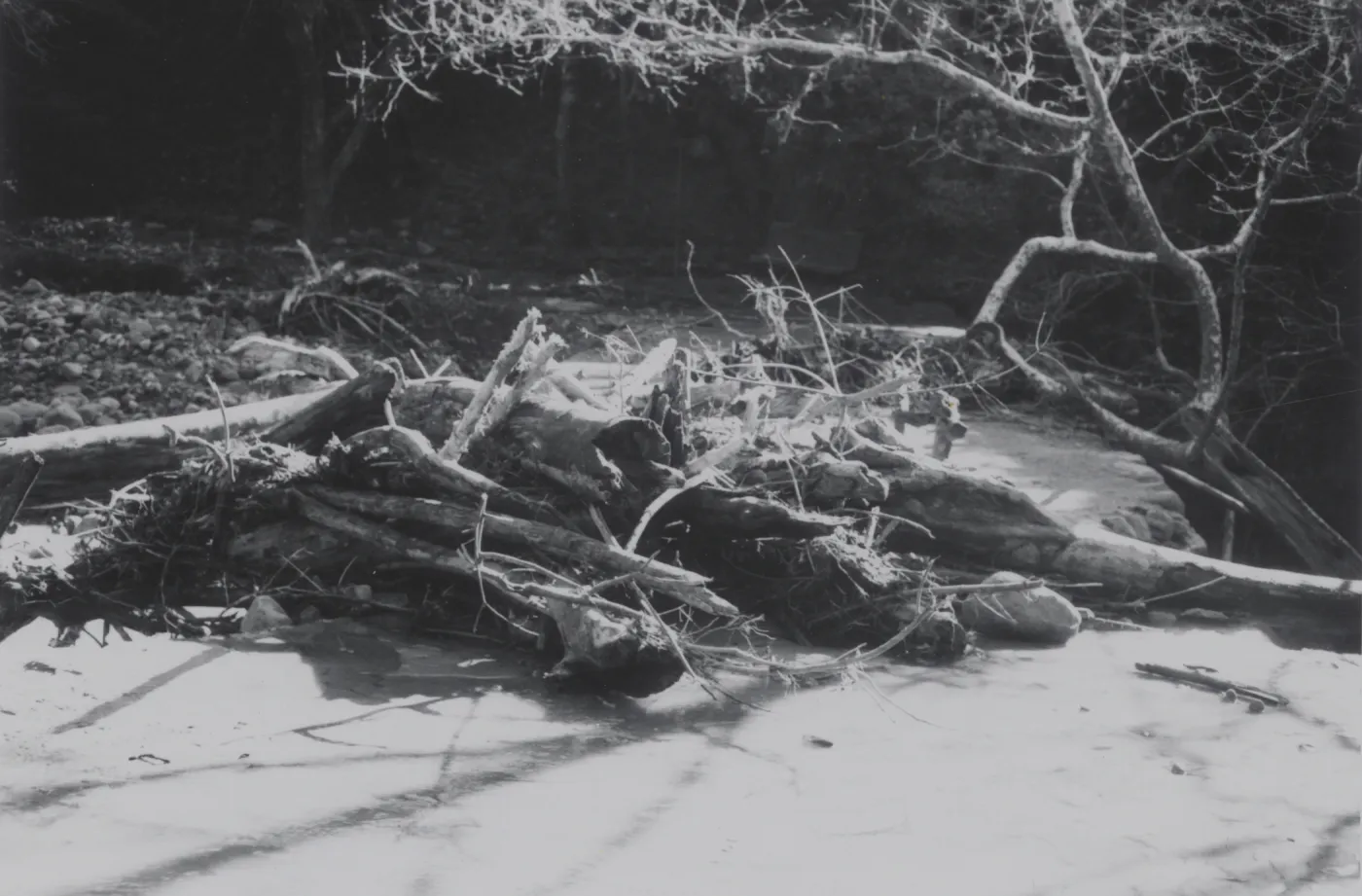flood debris collected at the top of Mission Dam, 1969