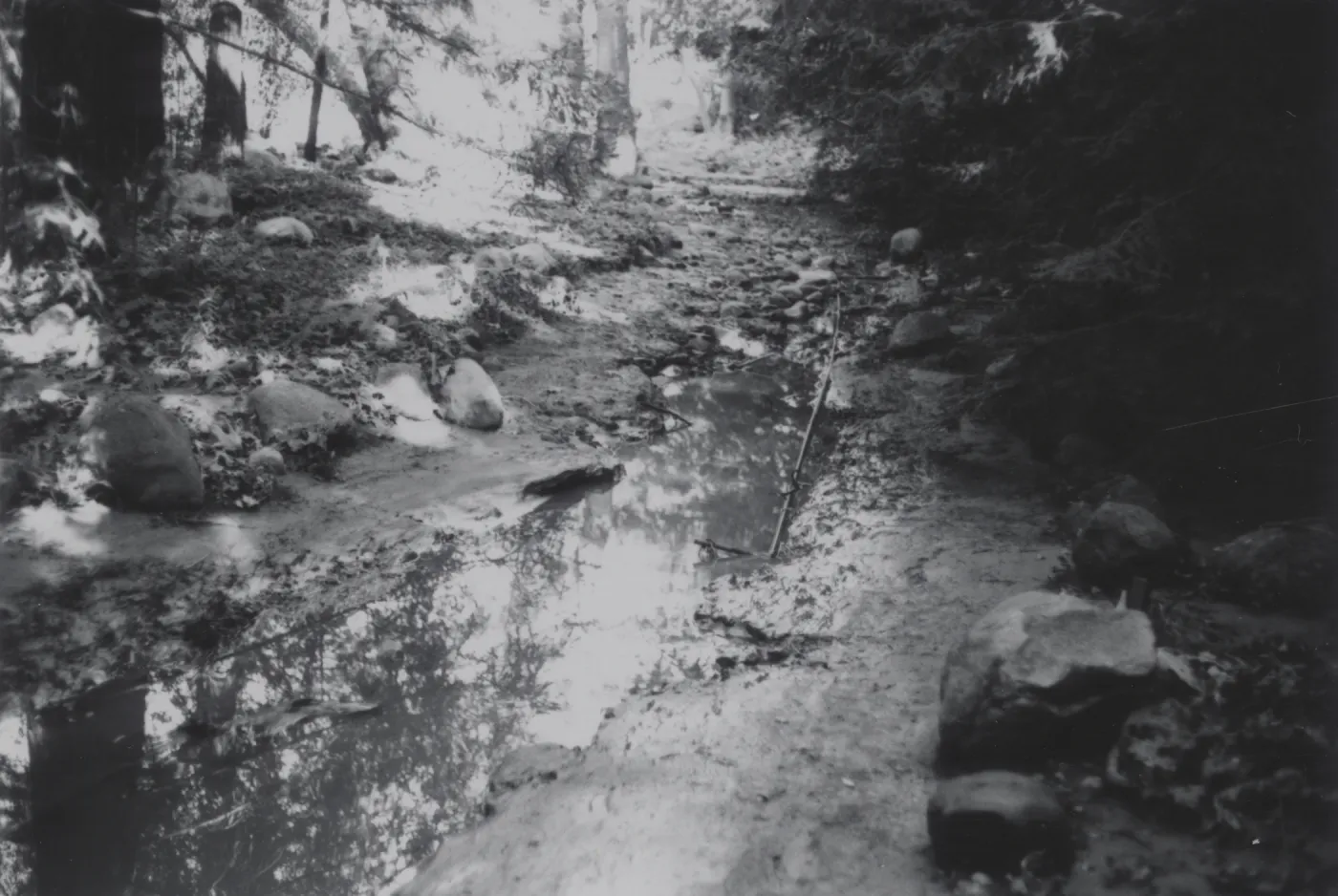 flood damaged Redwood Section, 1969