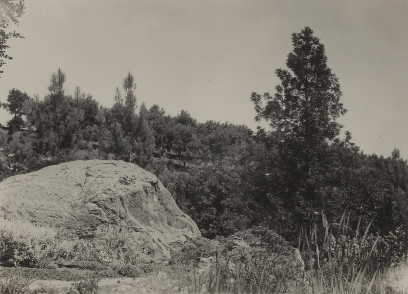 west side of Entrance boulder, old Island Trail, 1934