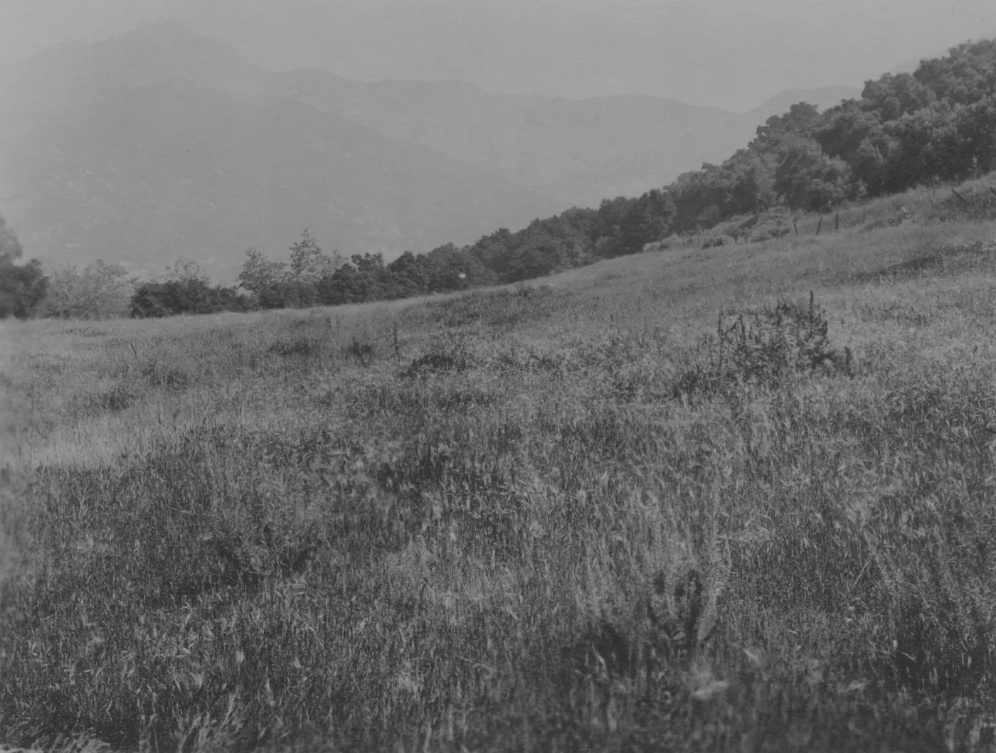 location of present Garden entrance, view of La Cumbre and Cathedral Peak, 1920's