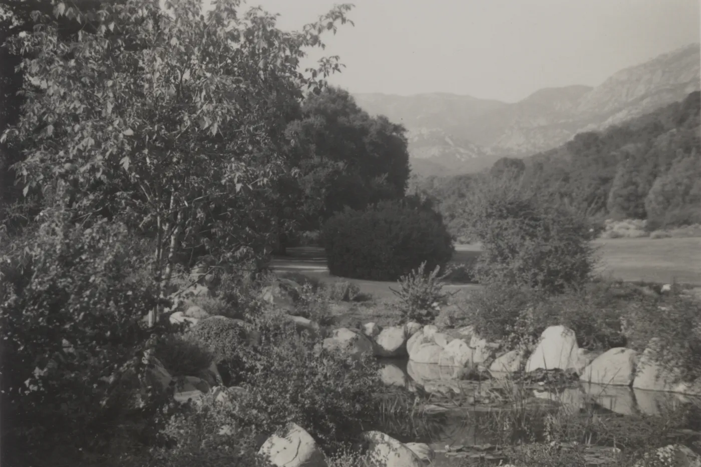 Pool and Meadow, 1937