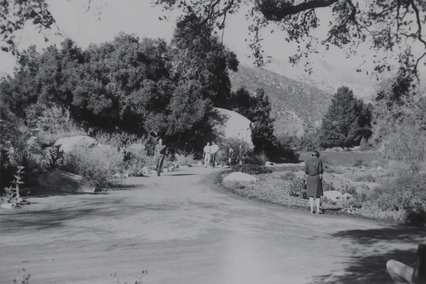 lower Meadow, 1940's
