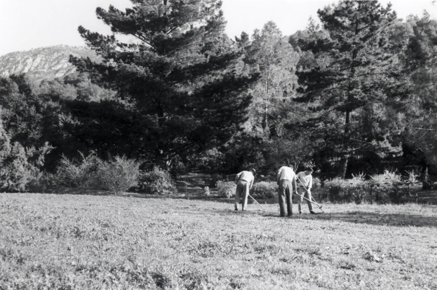 Grounds staff in the Meadow
