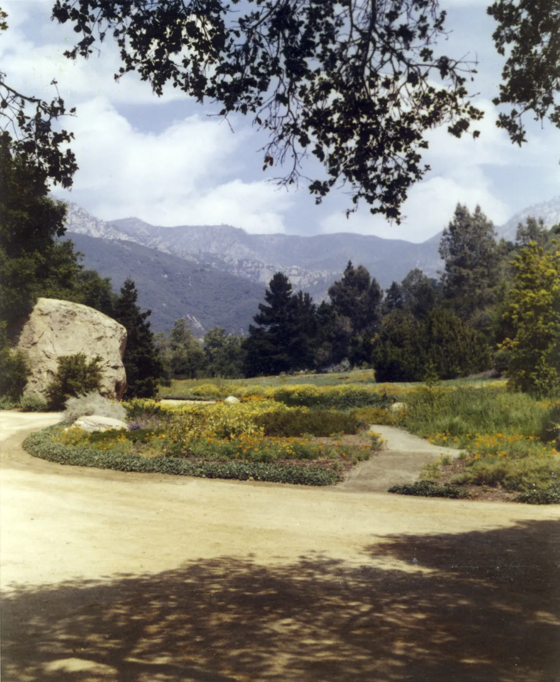 lower Meadow and mountain view from Garden entrance