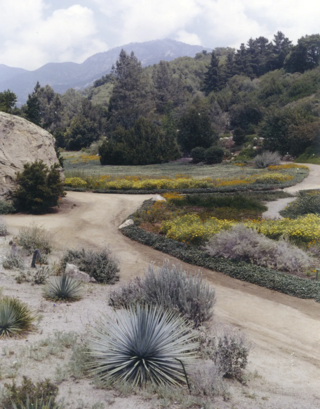lower Meadow and Desert Section with mountain view