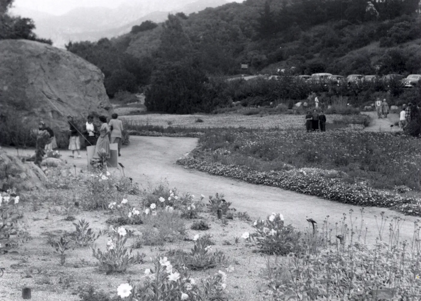 Sunday visitors in the Meadow, 1952