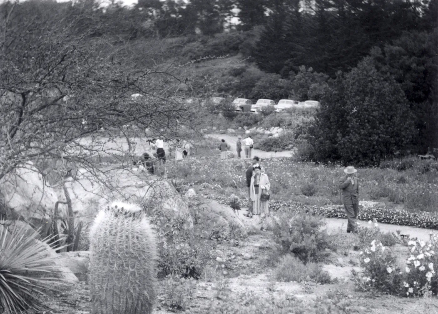 Sunday visitors in the Meadow, 1952