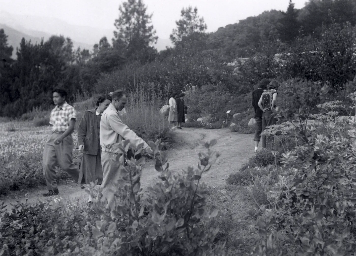 Sunday visitors in the Meadow, 1952