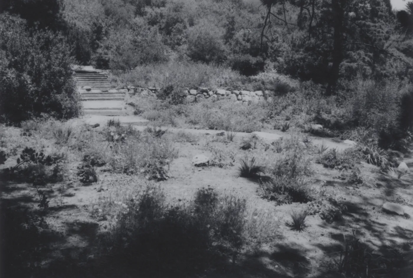 Meadow View garden