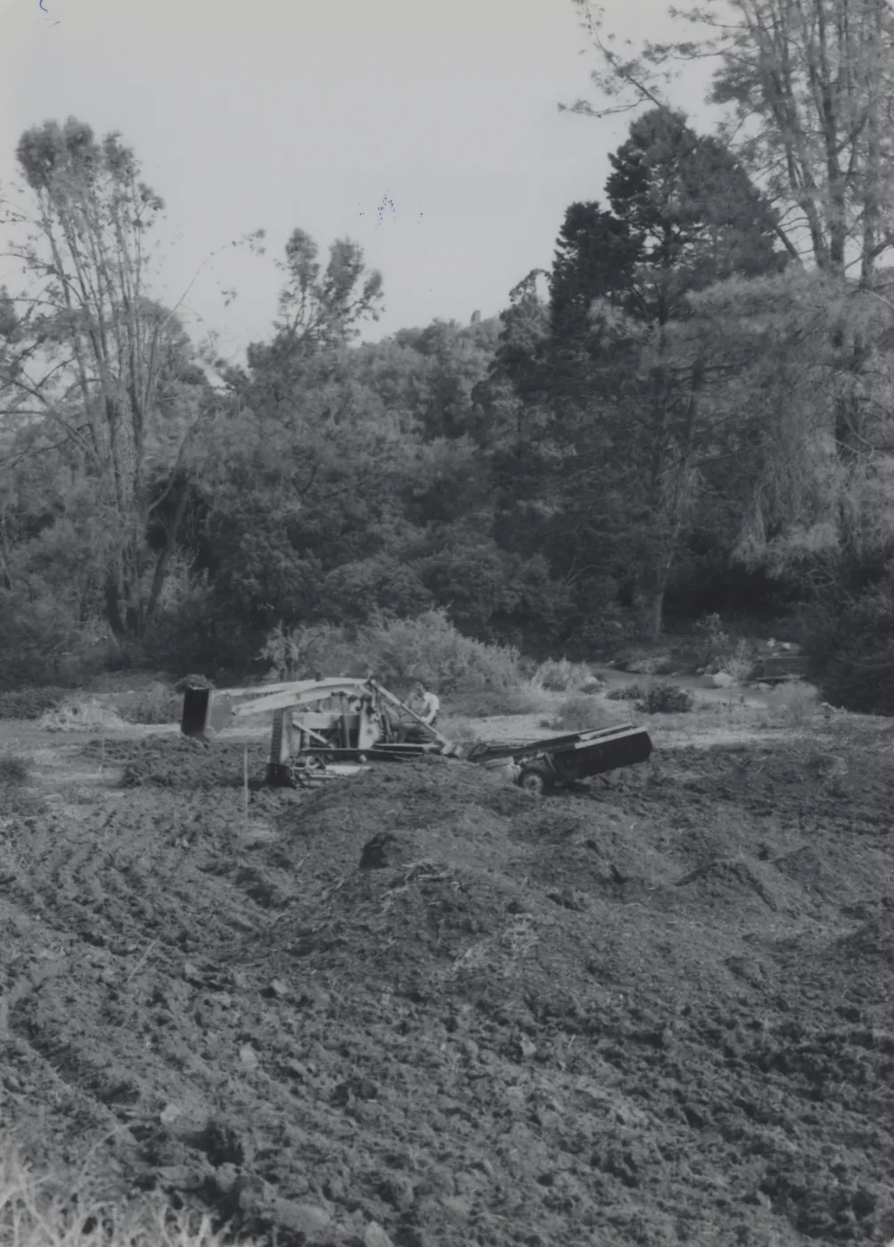 Discing the Meadow