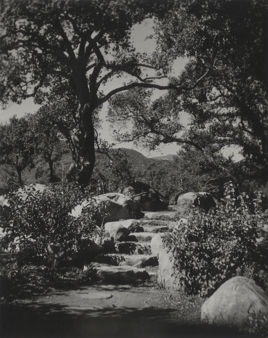 stone steps at the Meadow Oaks