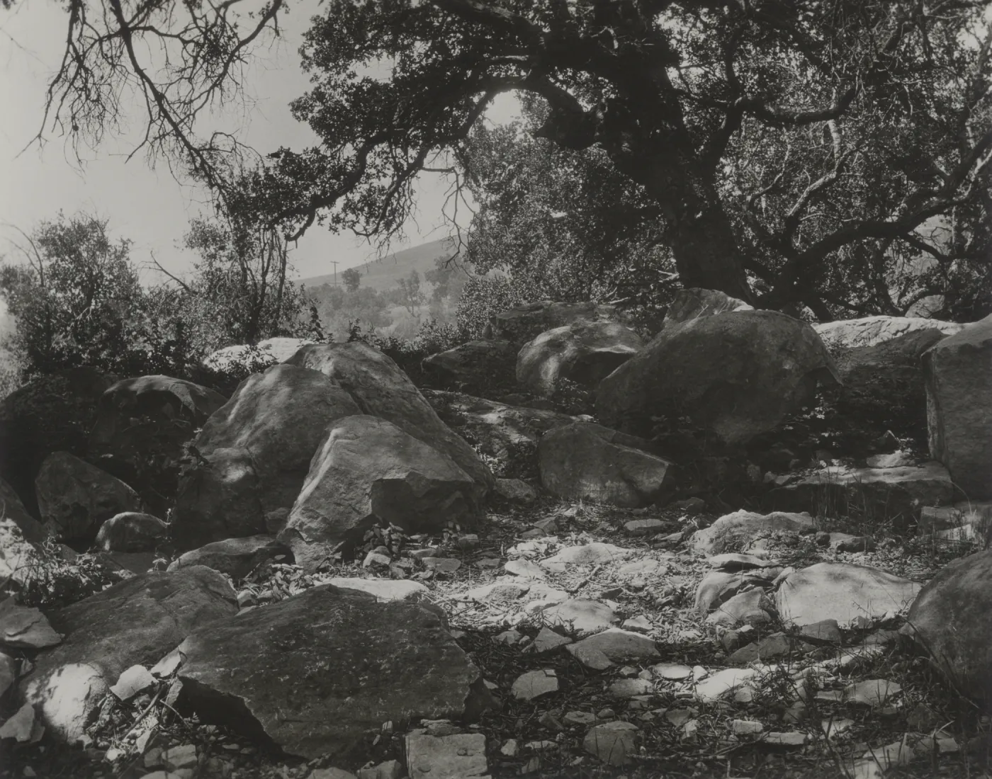 The Mound, 'Rocks where the pool is to be'