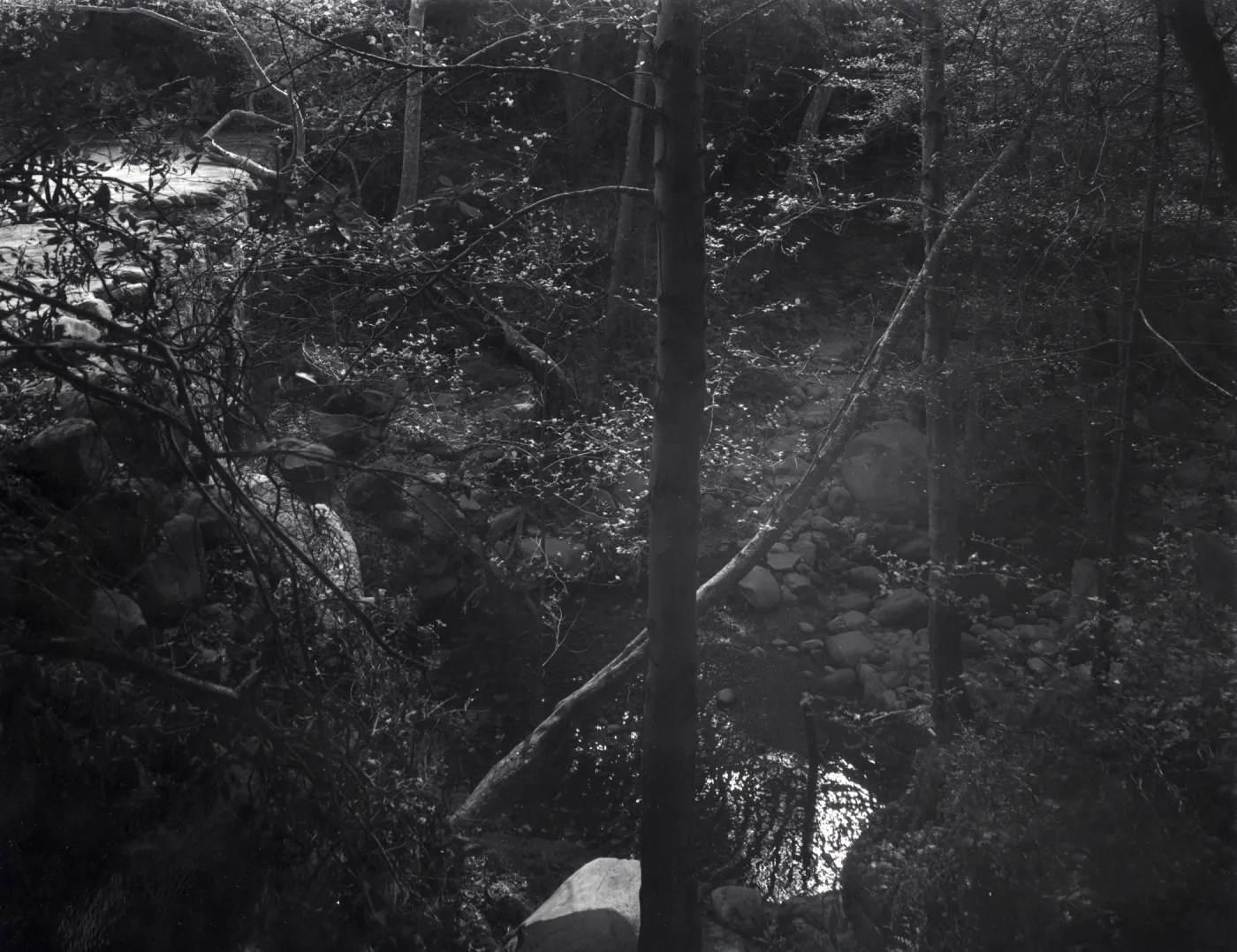 Mission Creek pool below Mission Dam