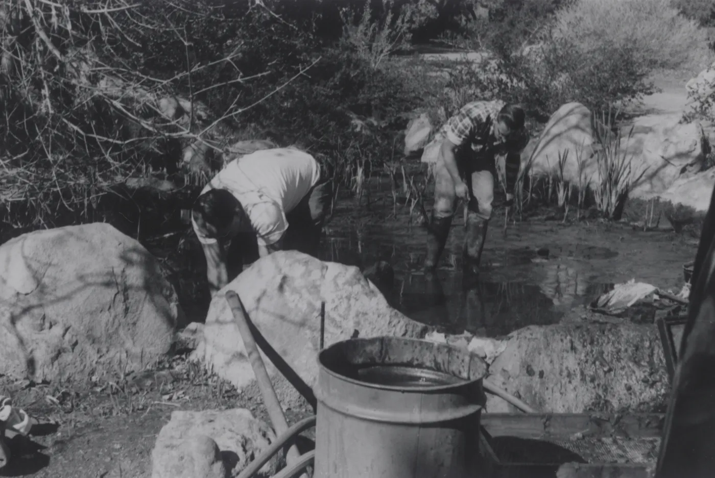cleaning the fishpond
