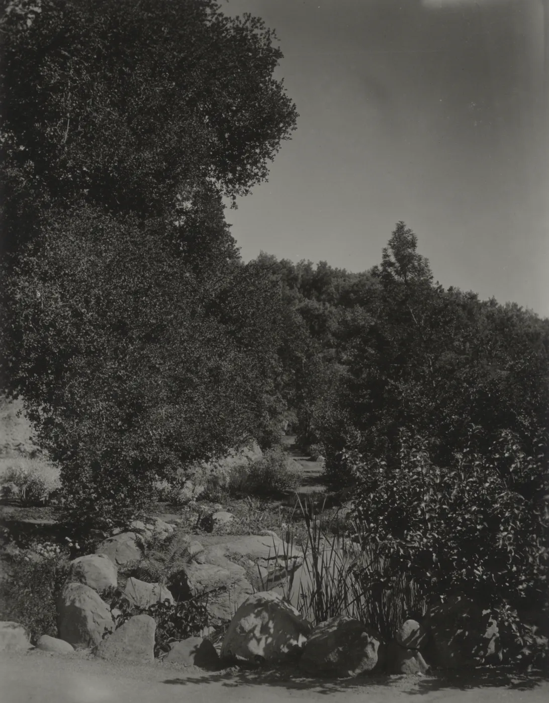 Meadow pool