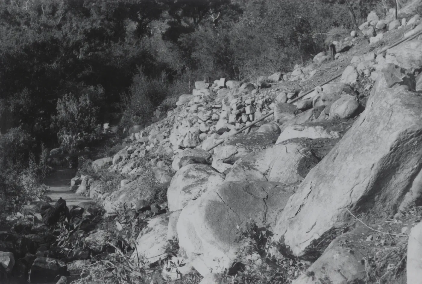 Campbell Trail renovation, 1961