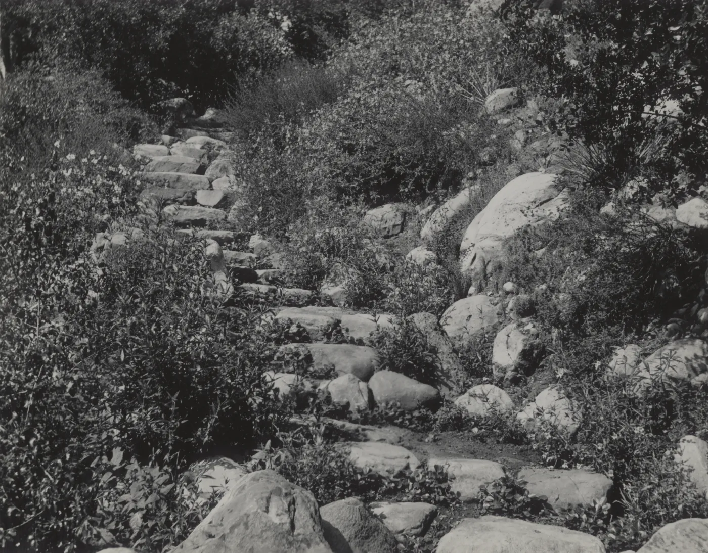 Stone steps from Meadow Oaks to Campbell Trail