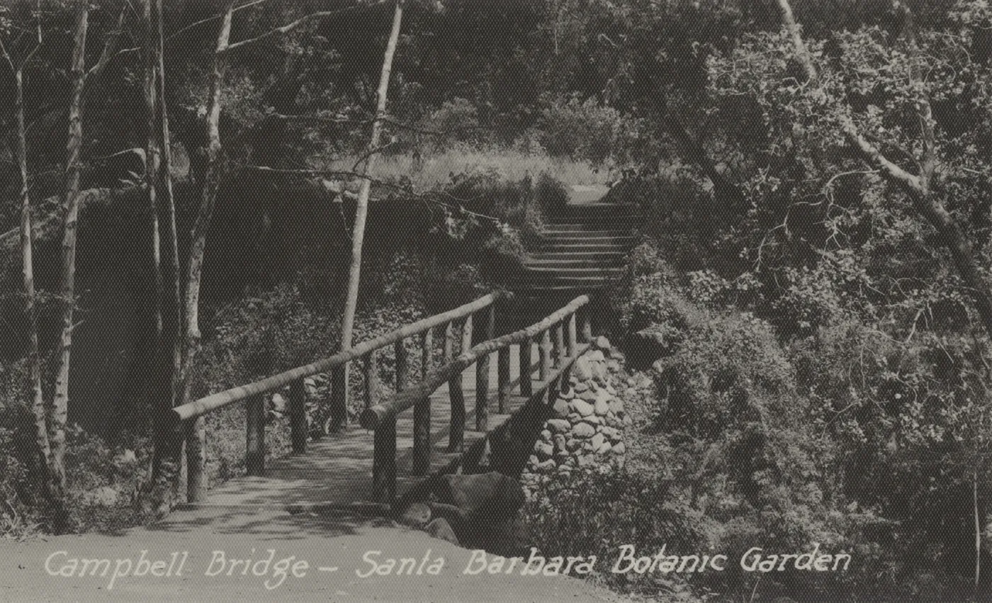 'Campbell Bridge - Santa Barbara Botanic Garden' postcard