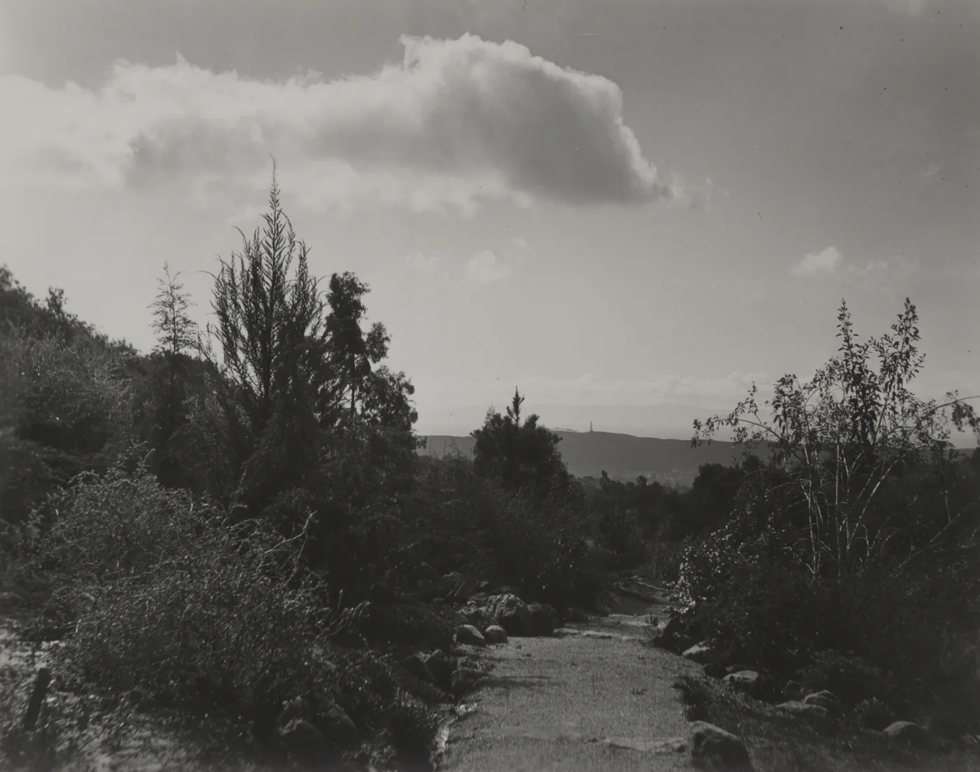 top of Foothill Trail, viewing back to the islands