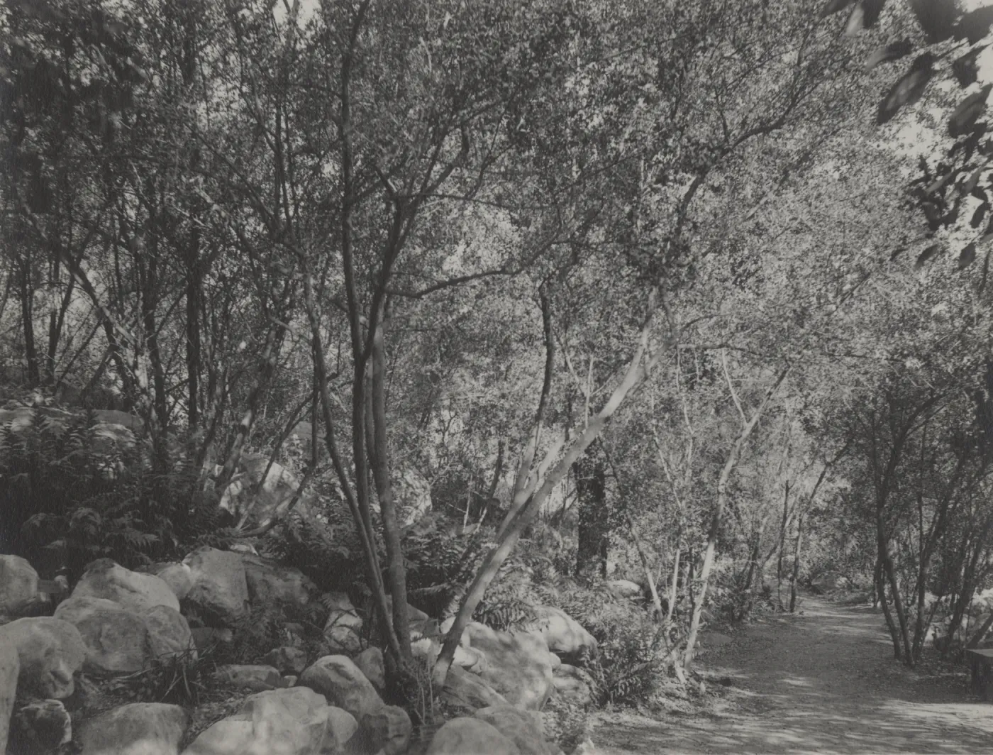 Canyon Trail