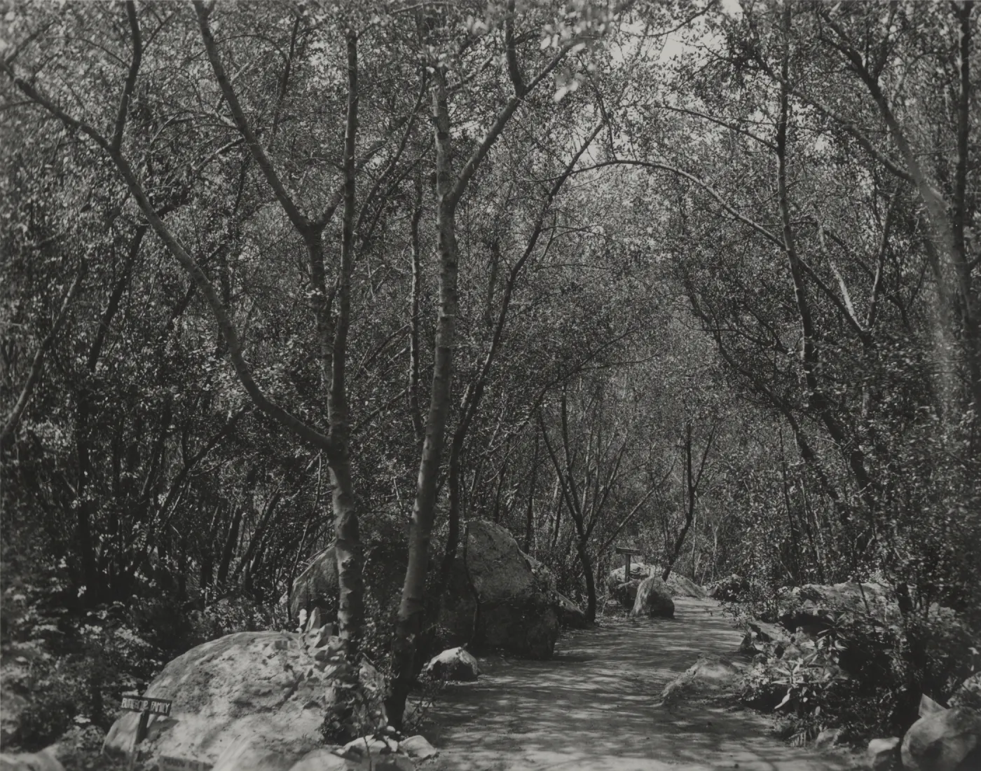 Canyon Trail