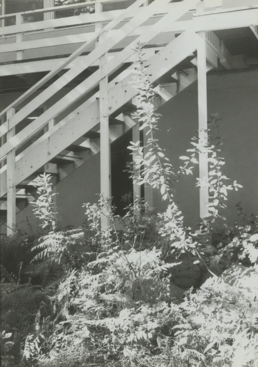 staircase, East Wing annex of the Blaksley Library