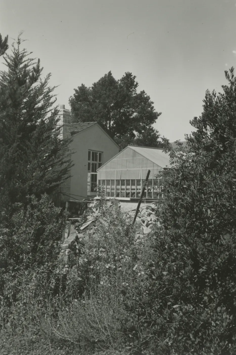 new Blaksley Library building with old greenhouse in front