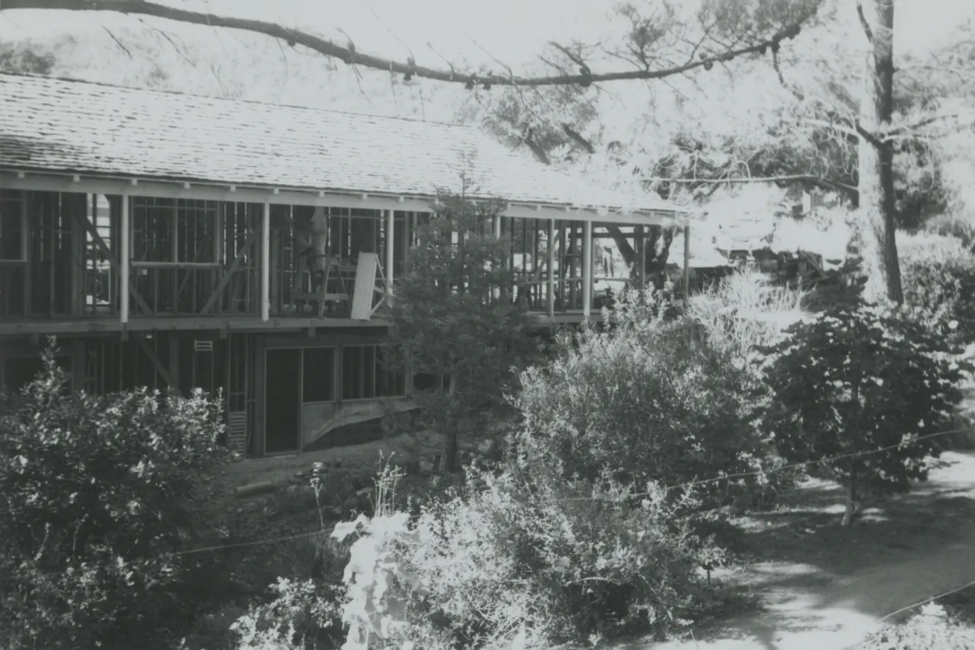 North Wing construction