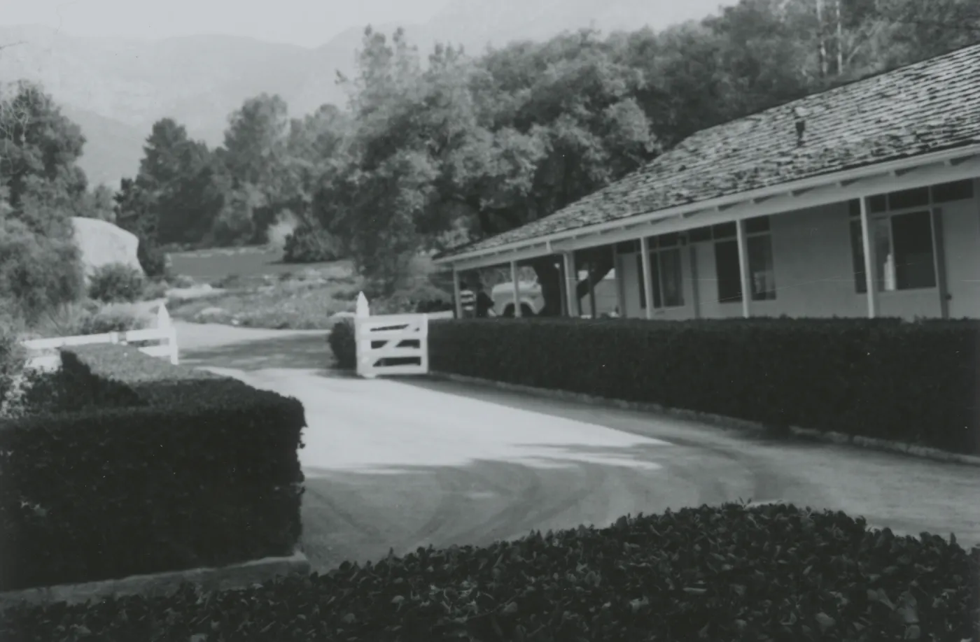 Library Courtyard, 1960's