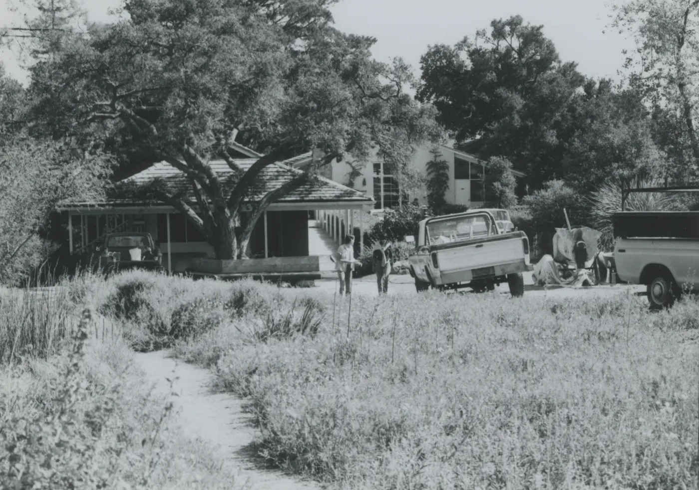 Garden Shop construction, addition to North Wing Research Building (Coastal Live Oak)
