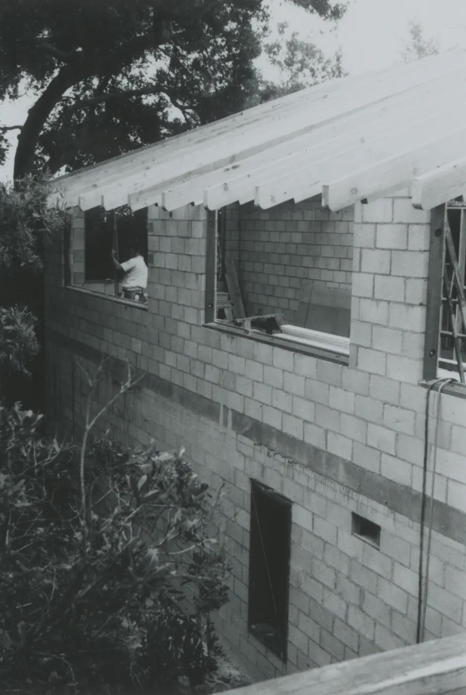 Herbarium construction
