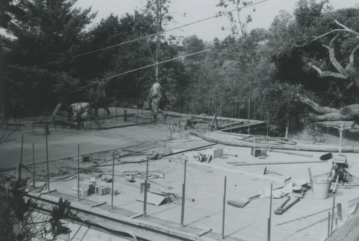 Herbarium construction looking southwest