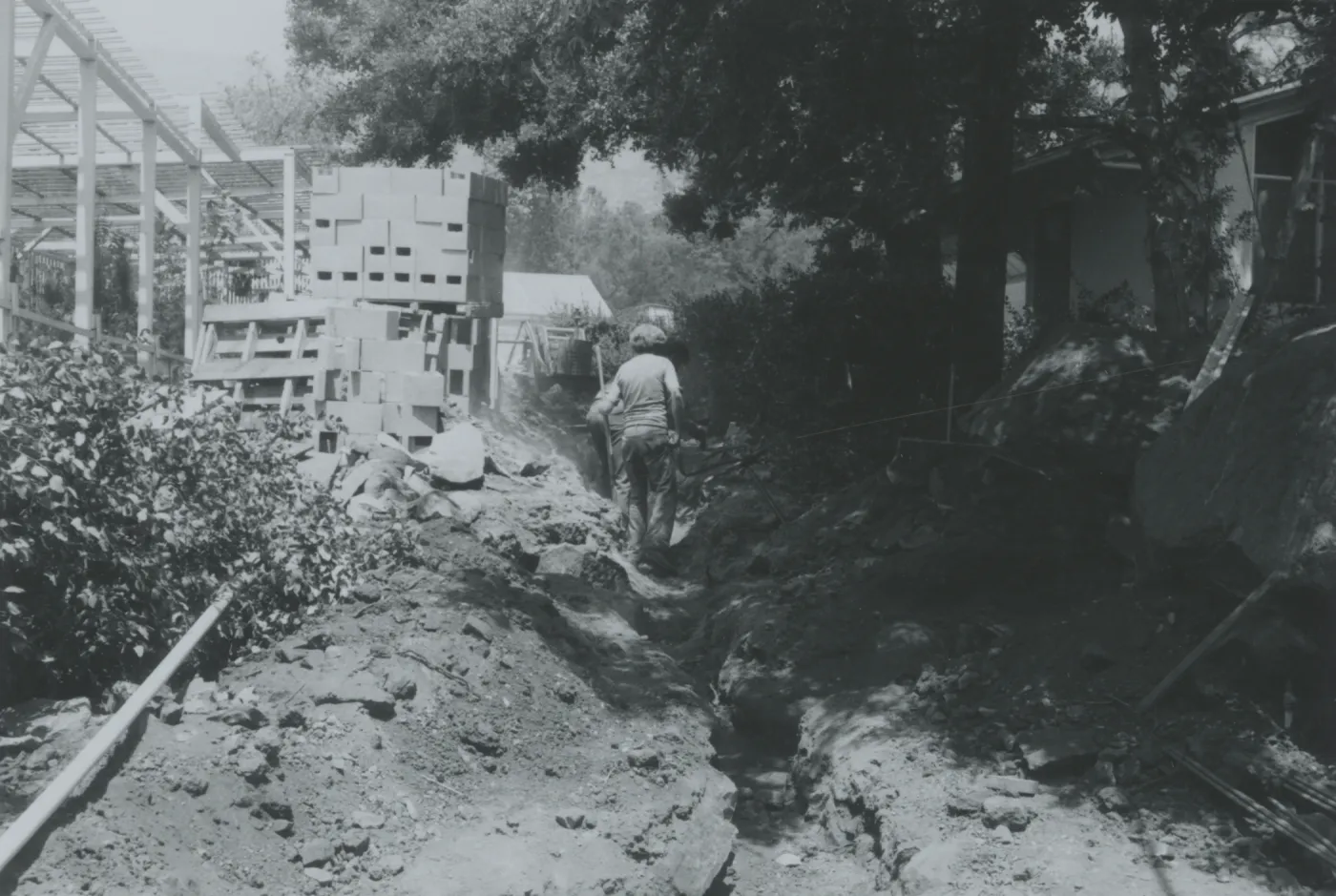 Herbarium construction