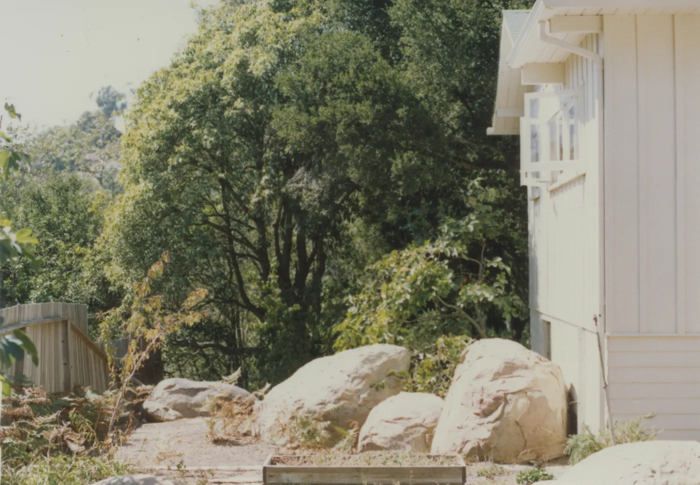 Cottage and garden
