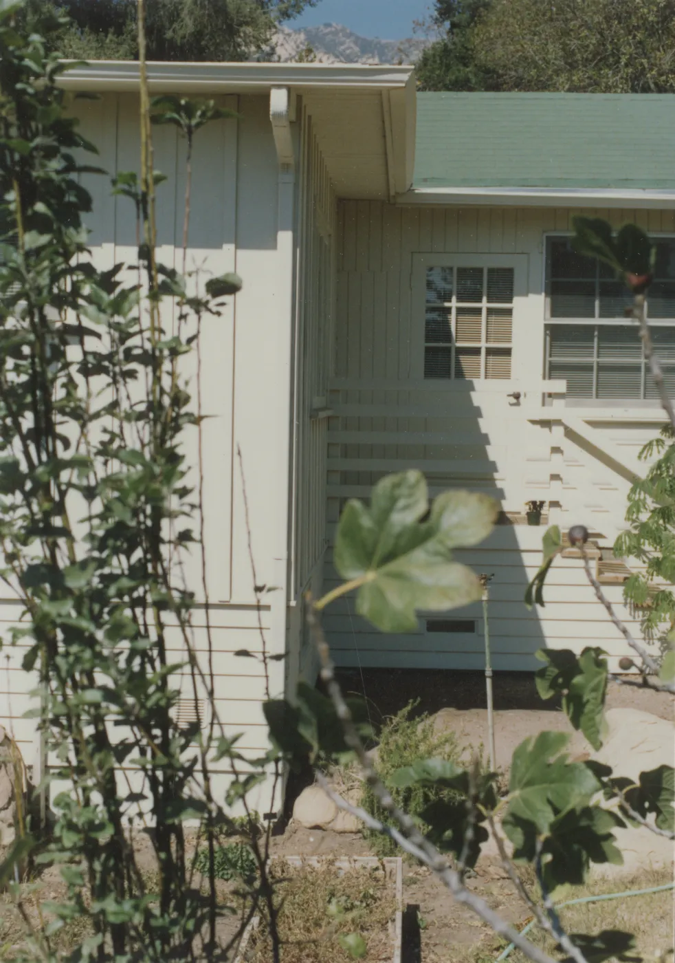 Cottage and garden