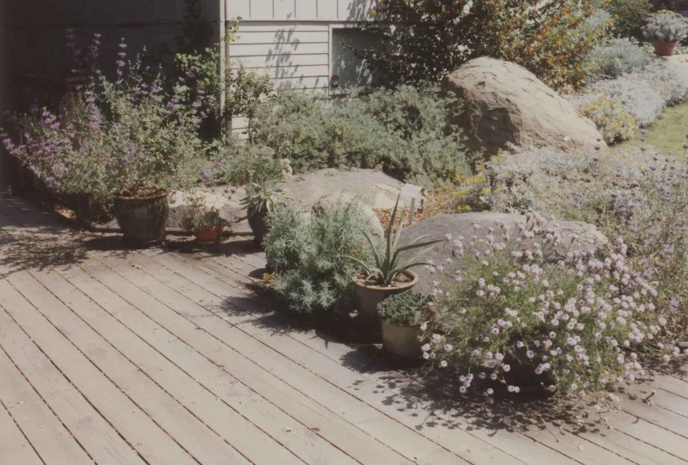 Home Demonstration Garden