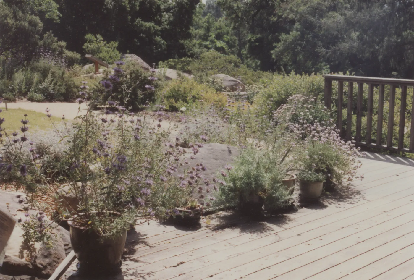 Home Demonstration Garden