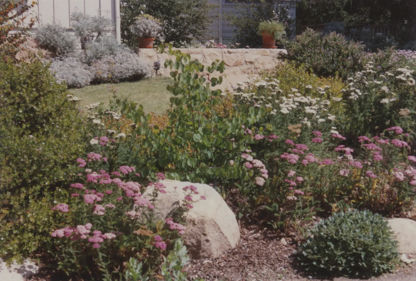Home Demonstration Garden
