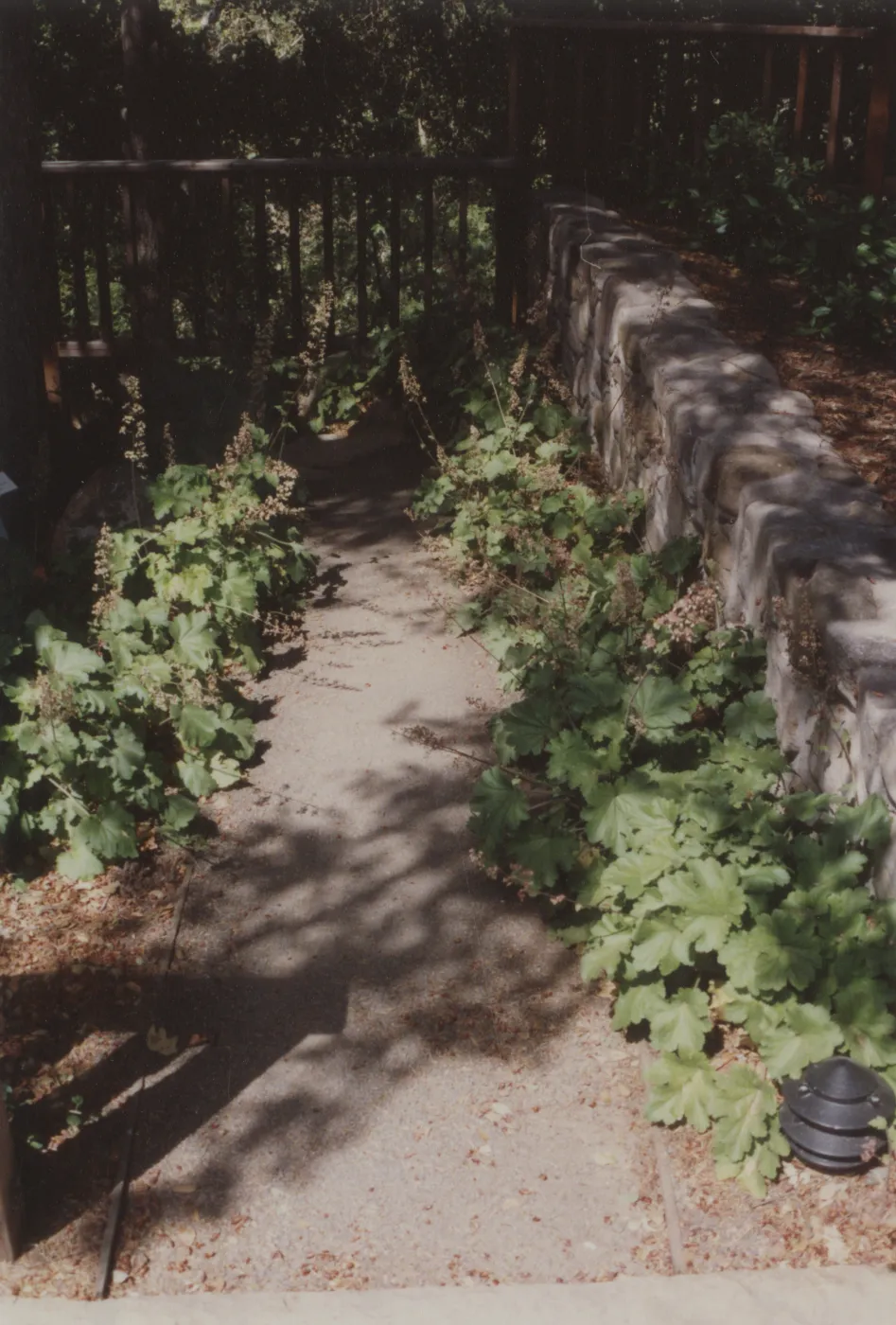 Home Demonstration Garden