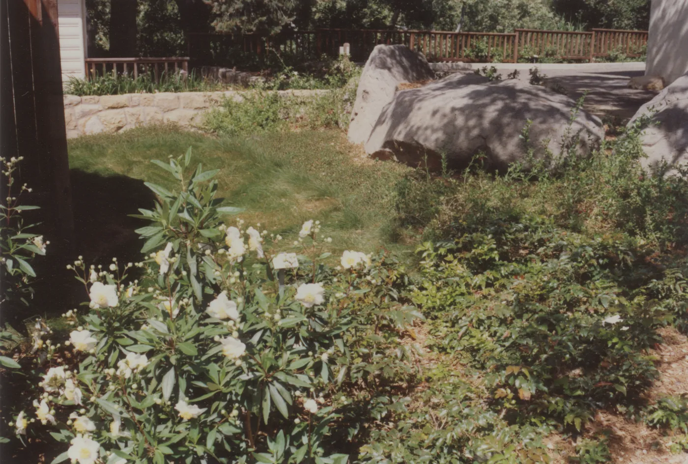 Home Demonstration Garden