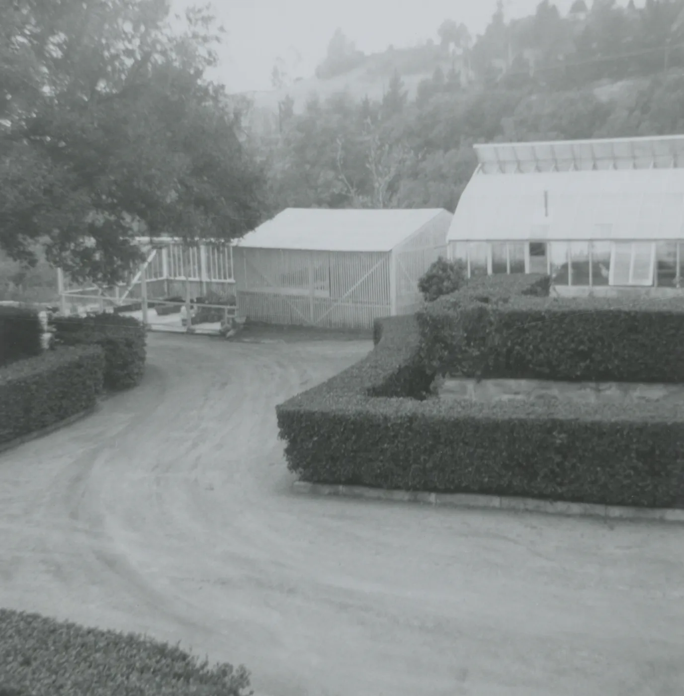 Greenhouse, Lath House