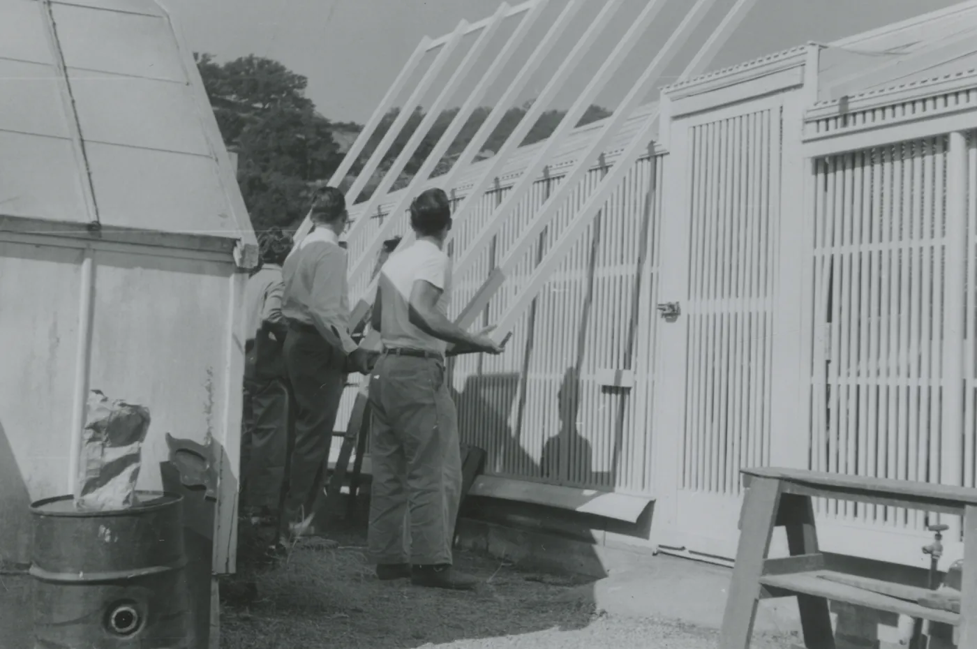 Lath House construction