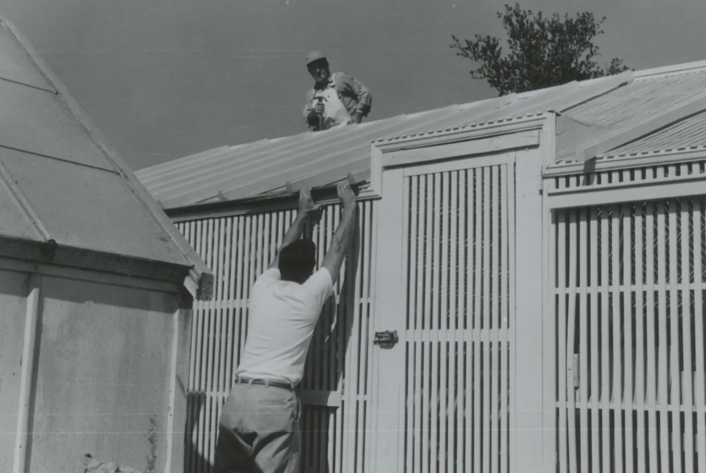 Lath House construction