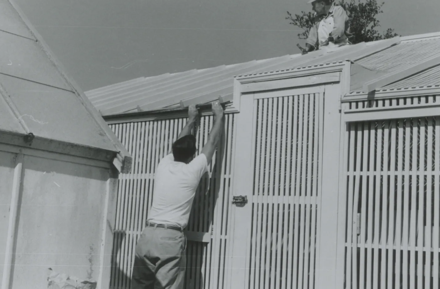 Lath House construction