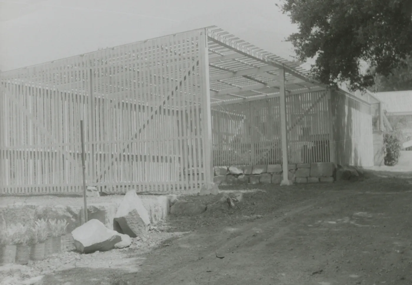 Lath House construction