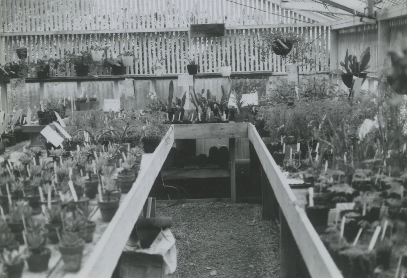 Lath House